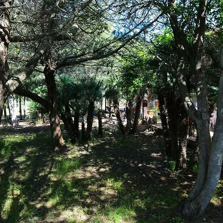 Margherita * Alghero