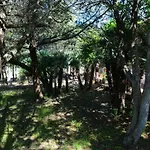 Margherita * Alghero