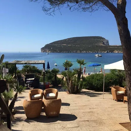 Margherita 阿尔盖罗